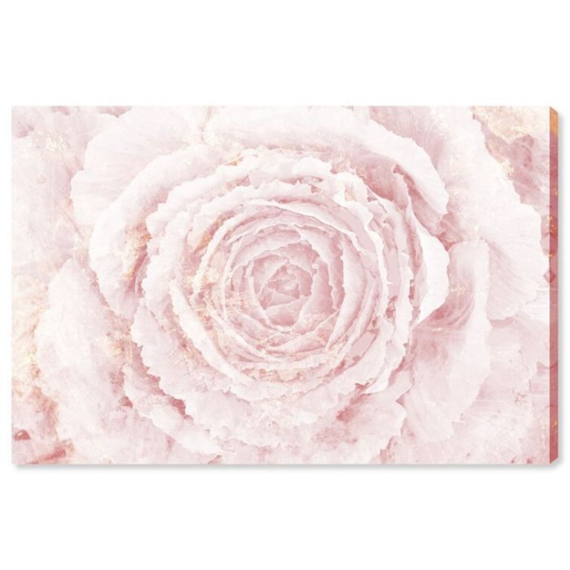 East Urban Home Blush Winter Flower Pink' by Oliver Gal - Wrapped Canvas Graphic Art Print (102CM