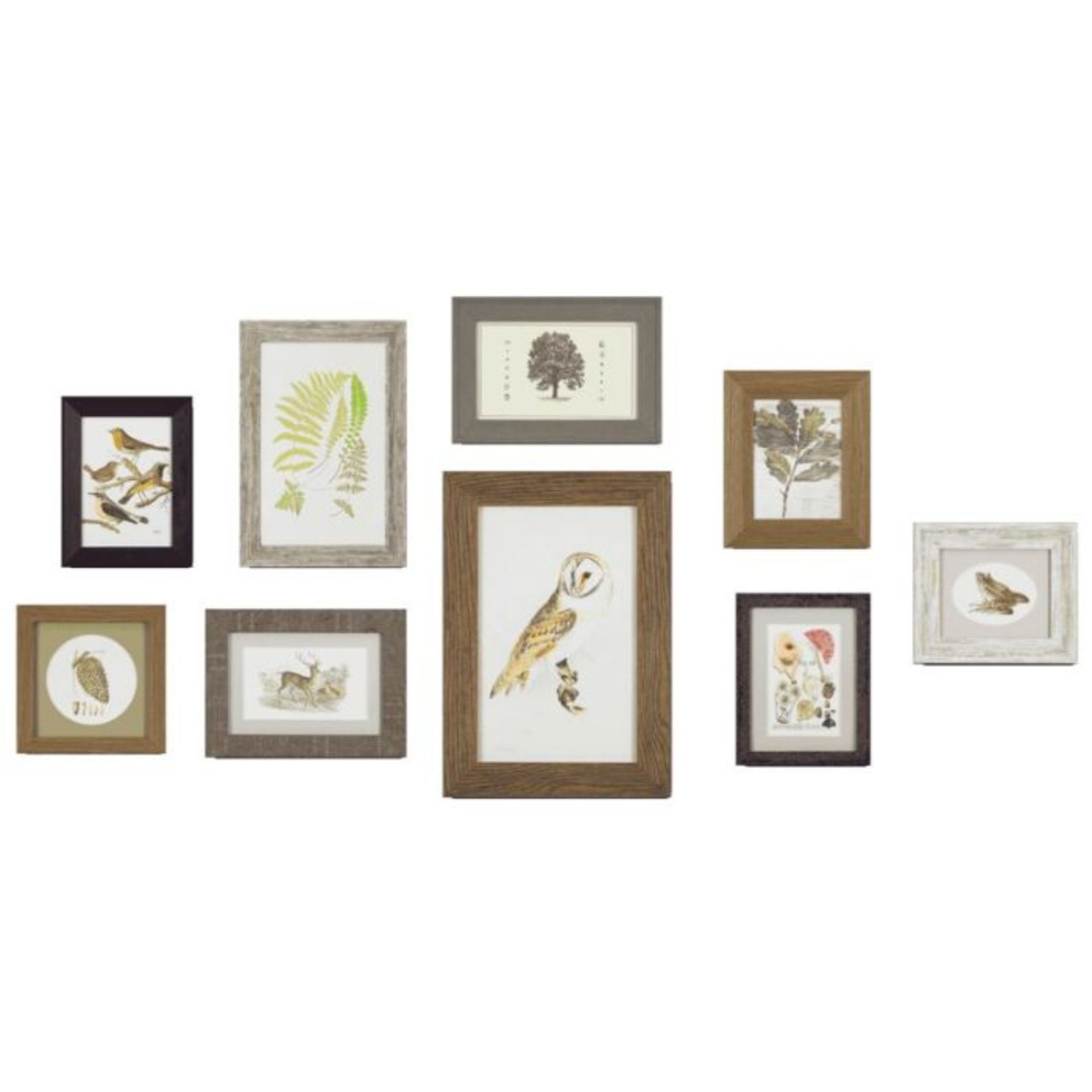 East Urban Home, Woodland Collection' 9 Piece Art Print Set (BROWN/GREEN/IVORY) - RRP £173.99 (