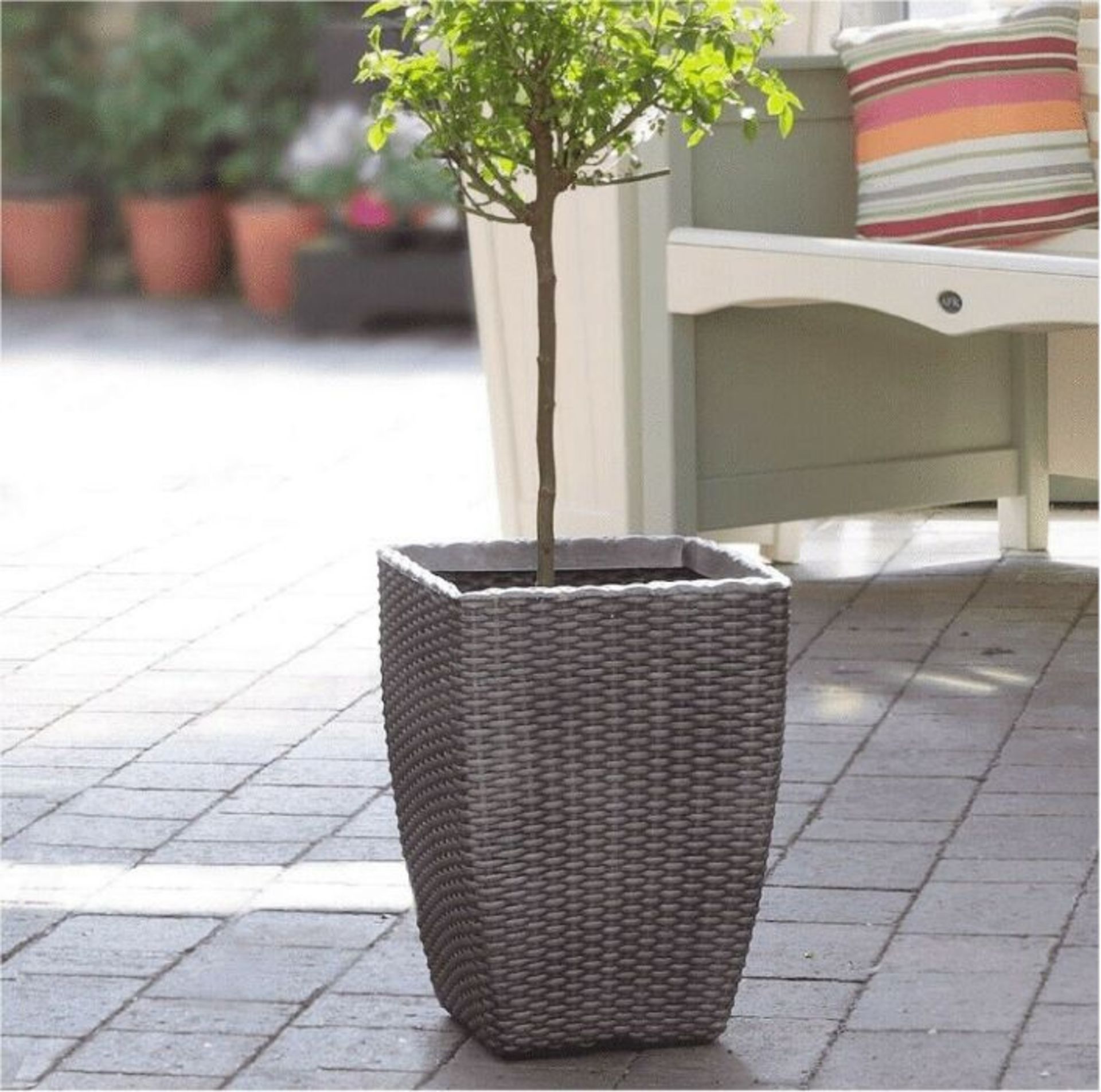 Williston Forge, Set of 2 Large 42cm Tall Rattan Pewter (GREY) (PLASTIC) - RRP £50.99 ( - Image 2 of 2