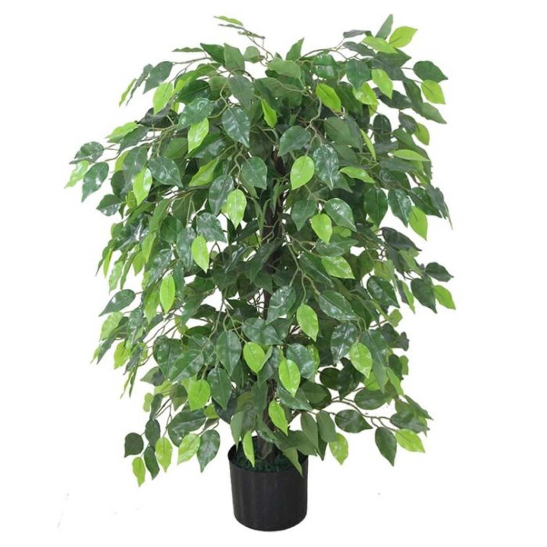 Leaf, Ficus Plant (90cm H X 20cm W X 20cm D) - RRP £52.99 (LEAX1128 - 28166/16)