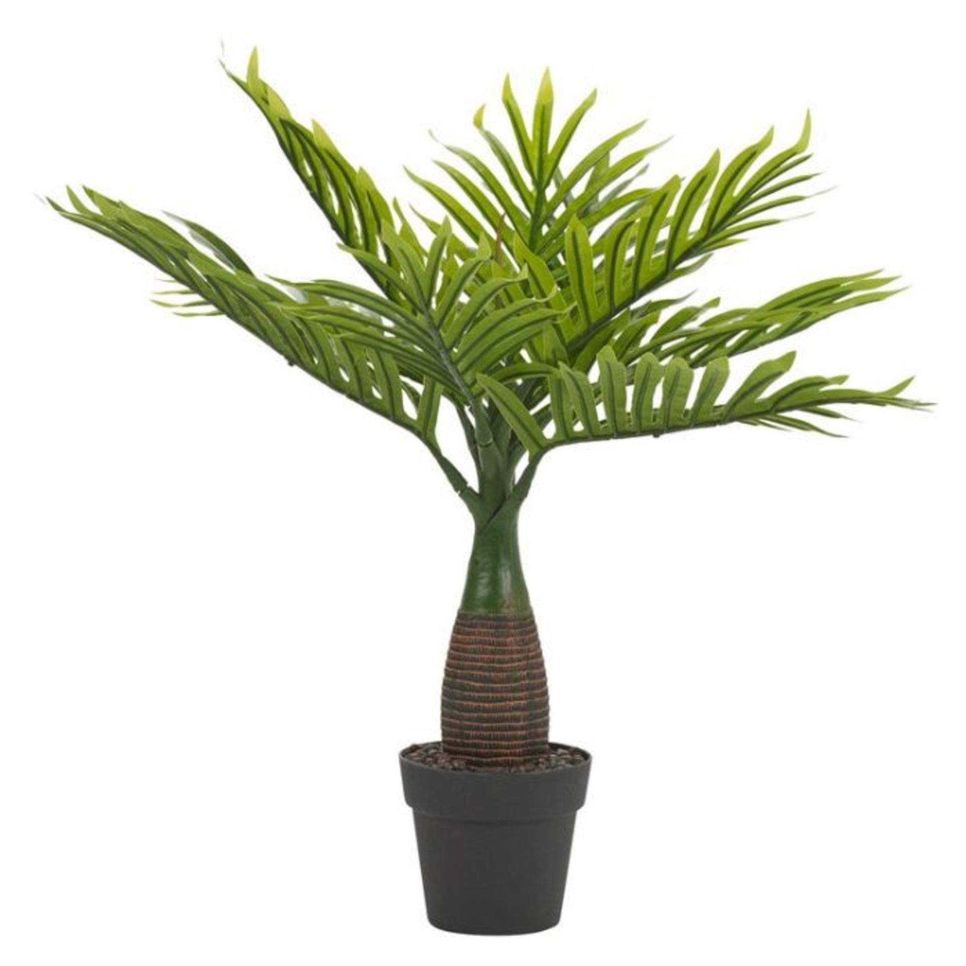 Bay Isle Home, Palm Plant in Pot (45cm H X 25cm W X 15cm D) - RRP £19.99 (URBL1161 - 28166/1)