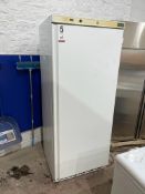 Polar Refrigeration CD615 Upright freezer