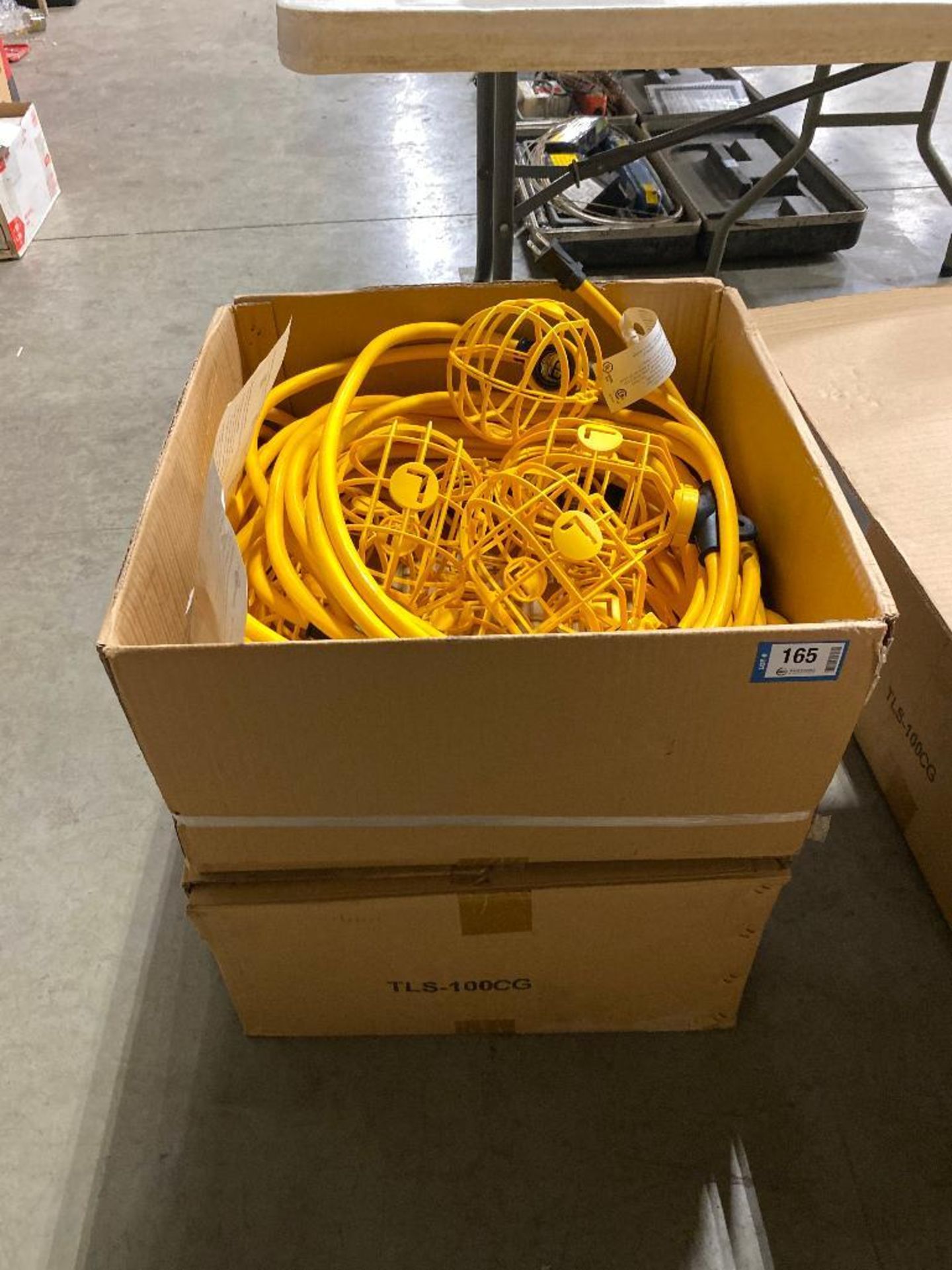 Lot of (2) Boxes of Lind Equipment String Lighting, TLS-100CG