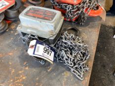 Lot of CM Hurricane 1-Ton Chain Hoist and Tiger 2,000 kg Beam Roller