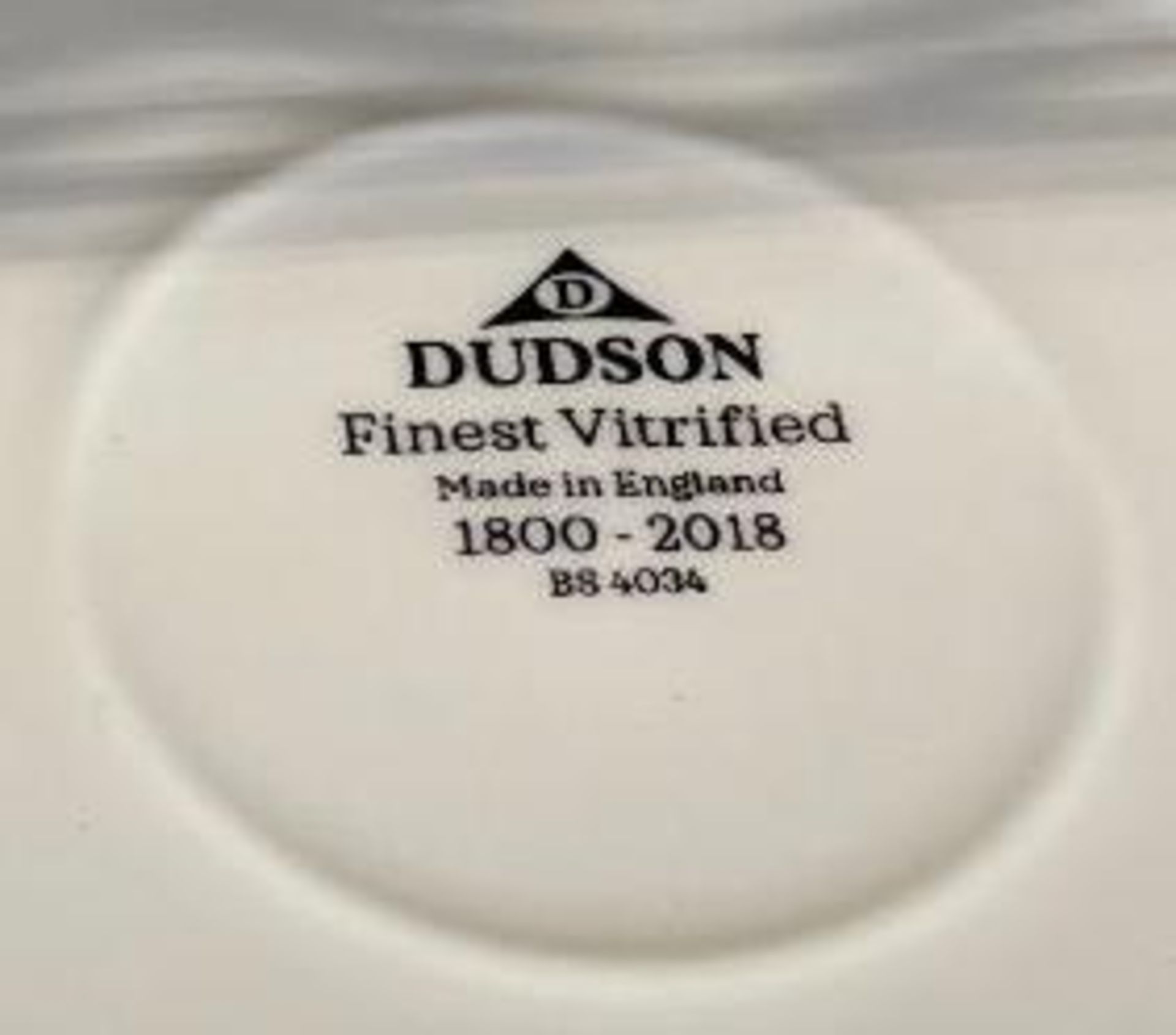 4 CASES OF DUDSON MOSAIC CORAL CHEF BOWLS 10 1/2" - 3/CASE - MADE IN ENGLAND - Image 5 of 7