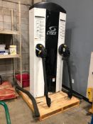 Cybex FT360 Functional Trainer