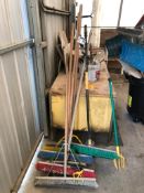 Lot of (6) Push Brooms and Weed Grabber.