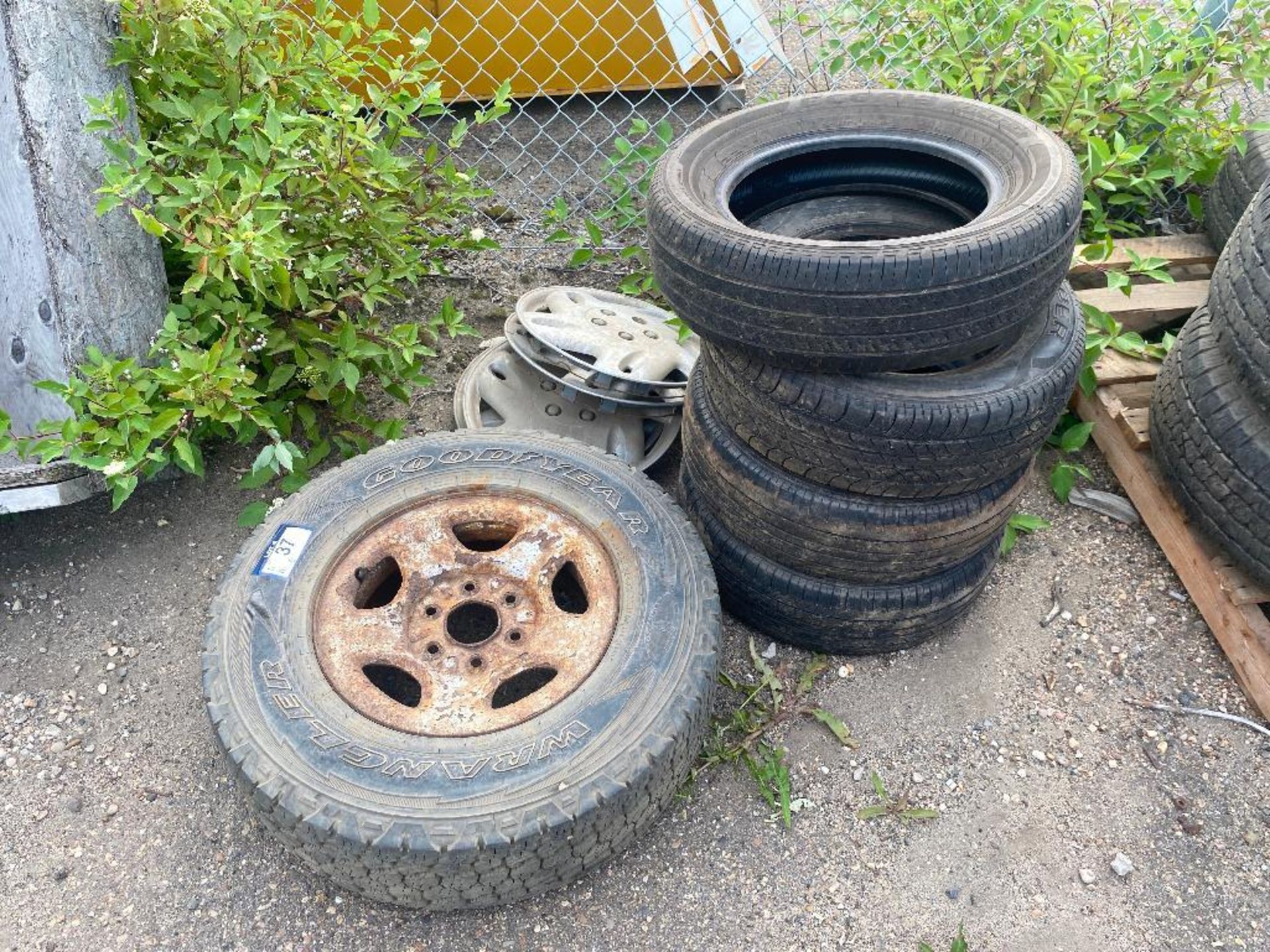 Lot of (6) Asst. Tires