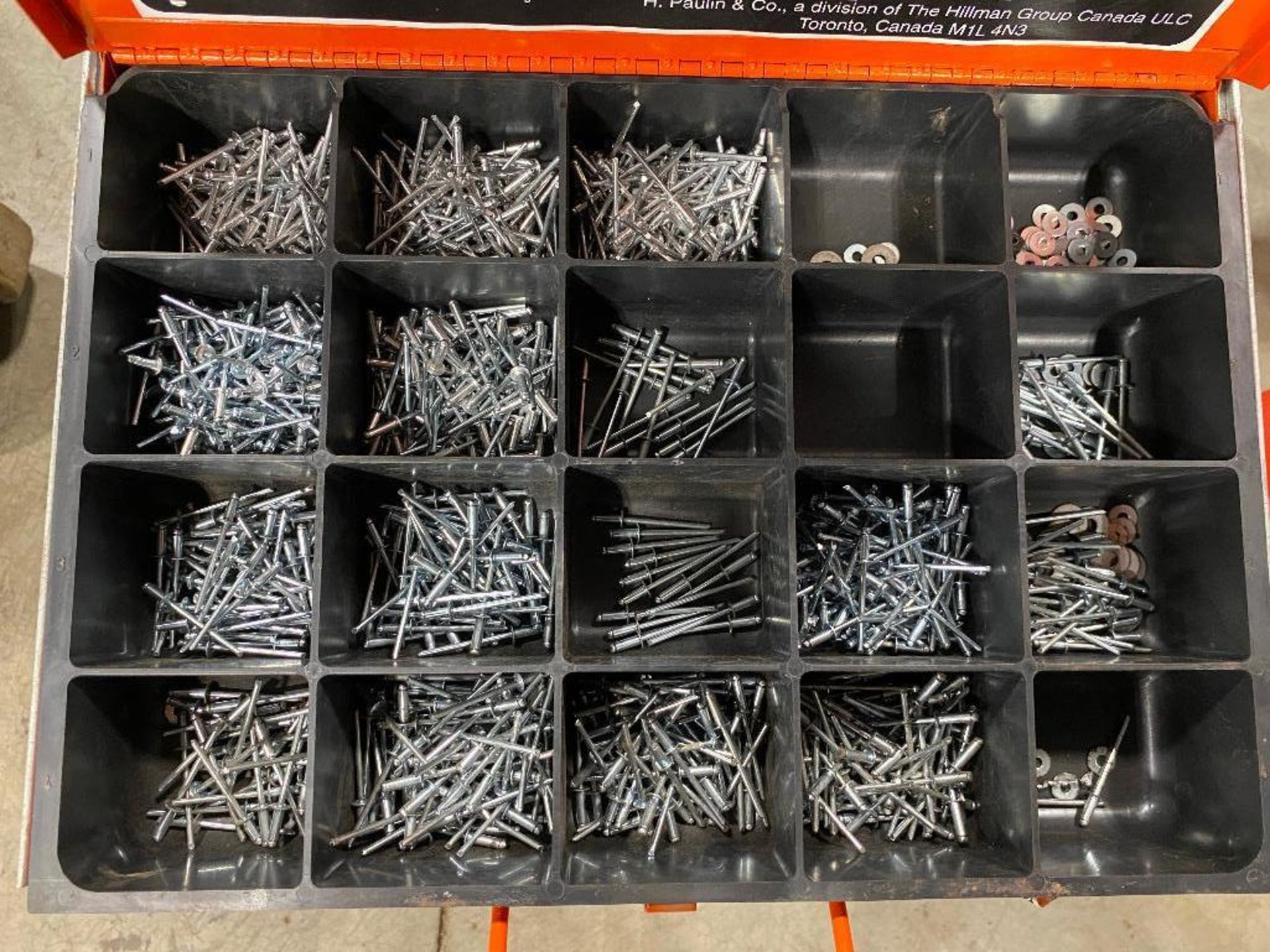 Parts Drawers w/ Asst. Contents including Rivets, Pins, Nuts, Bolts, Washers, Screws, Fuses, Connect - Image 3 of 10