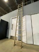 12" Aluminum Ladder