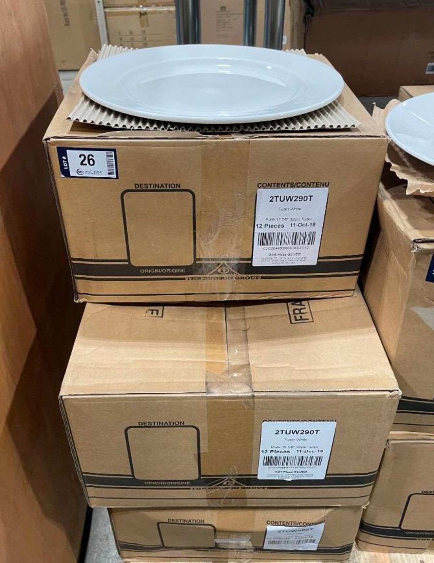 5 CASES OF DUDSON TUDOR WHITE WIDE RIM PLATES 12" - 12/CASE, MADE IN ENGLAND