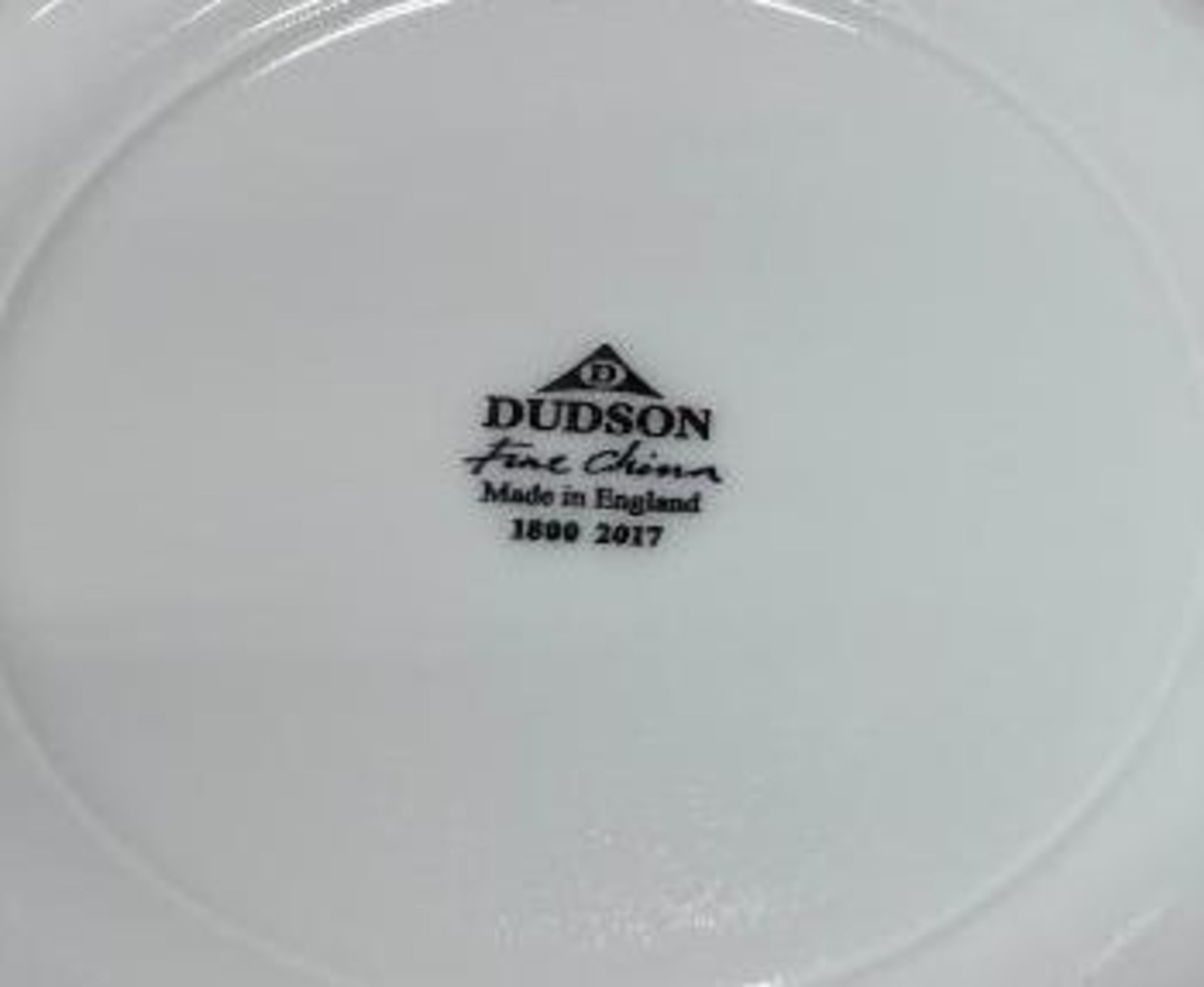 3 CASES OF DUDSON TUDOR WHITE SOUP/PASTA PLATES 11" - 12/CASE, MADE IN ENGLAND - Image 6 of 7