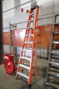 Louisville Fiberglass/Aluminum 10' Step Ladder.