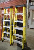 Lot of (2) Featherlite Fiberglass/Aluminum 6' Step Ladders.