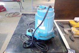 1 3/4" Submersible Pump.