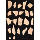 A COLLECTION OF TWENTY- TWO CHINESE ‘ORACLE’ BONES, SHANG DYNASTY, 13TH - 11TH CENTURY BC