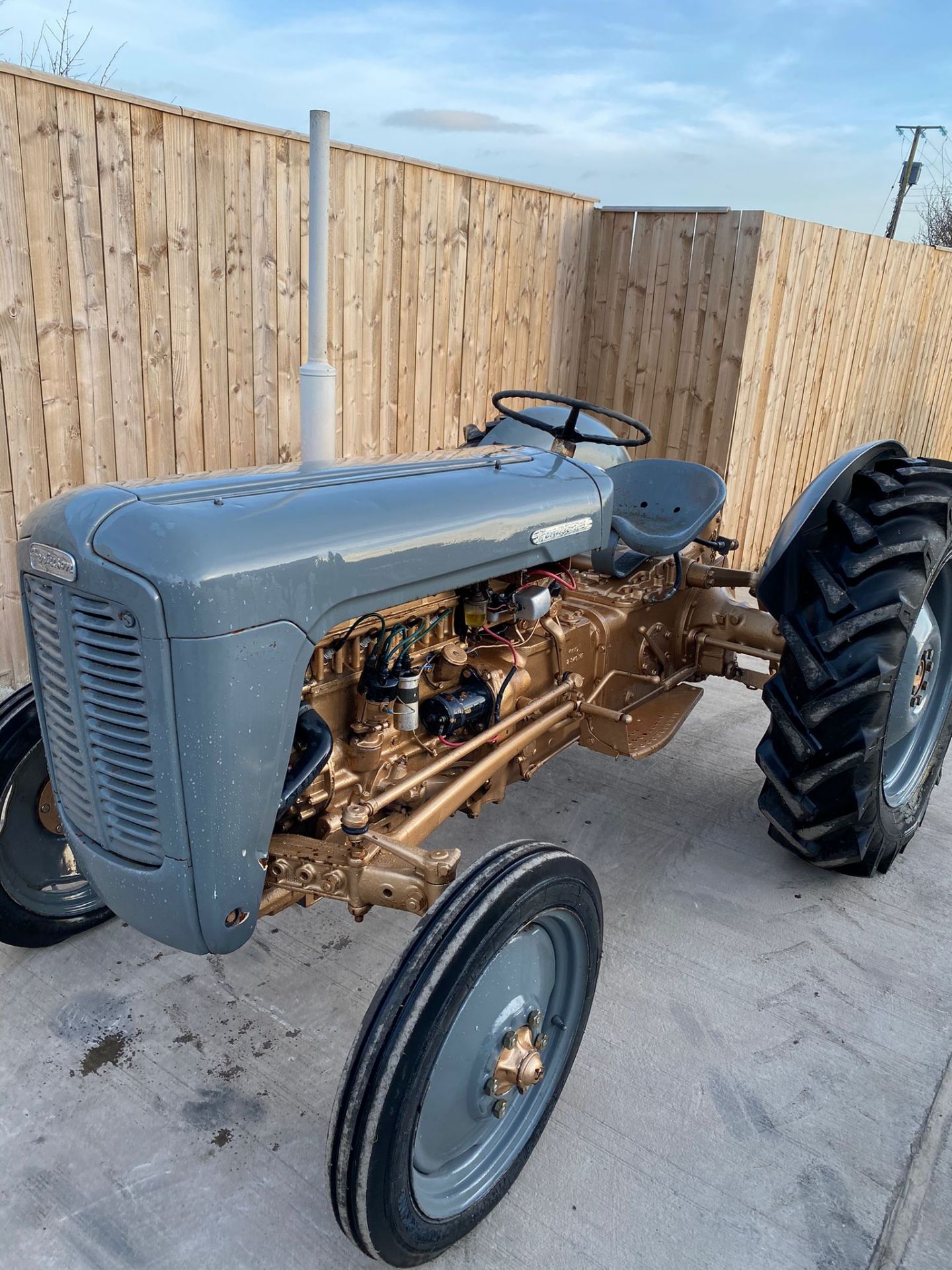 FERGUSON GOLD BELLY VINTAGE TRACTOR - Image 5 of 8