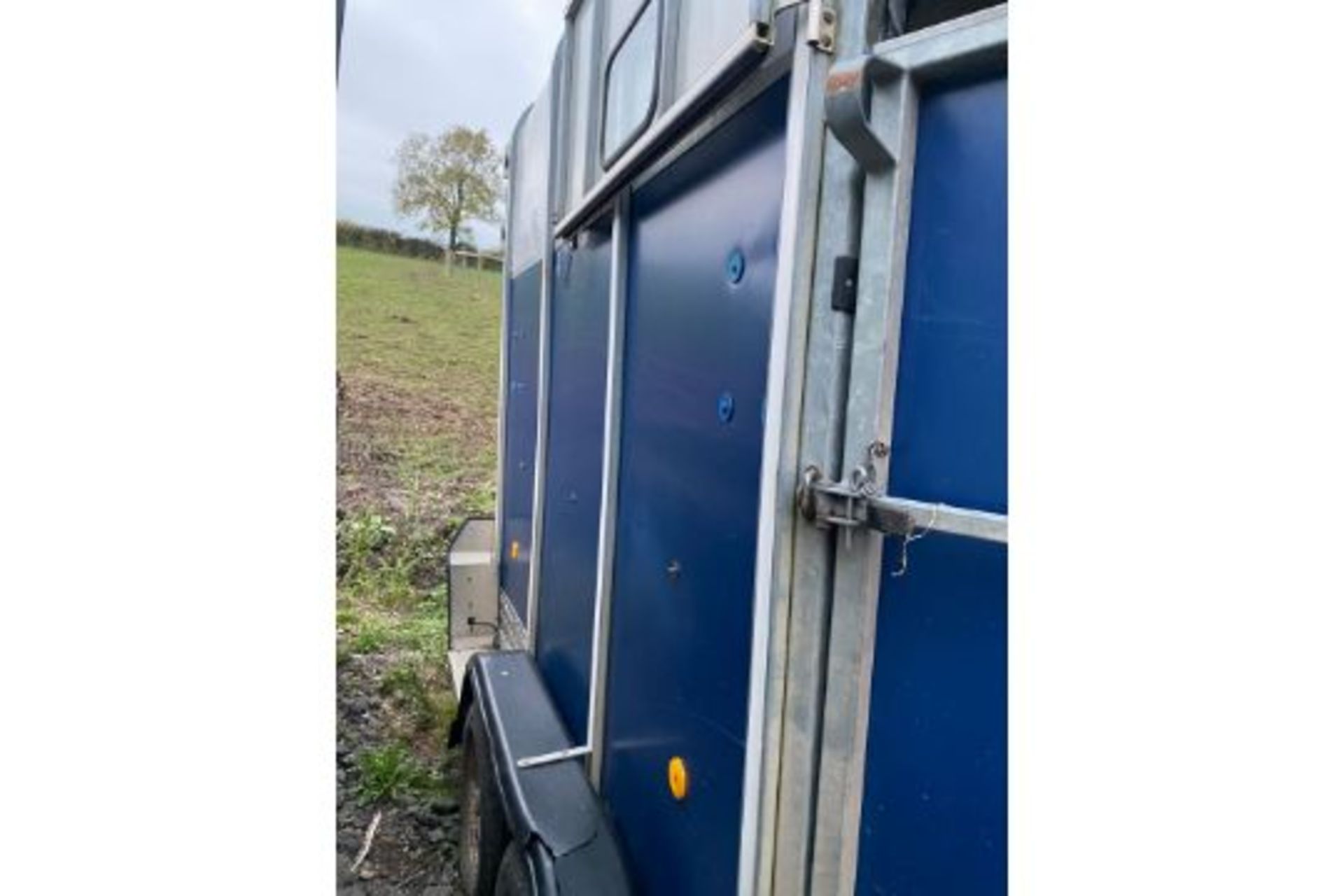 IFOR WILLIAMS HB510 HORSEBOX DOUBLE WITH PARTITION ALLOY FLOOR - Image 2 of 6