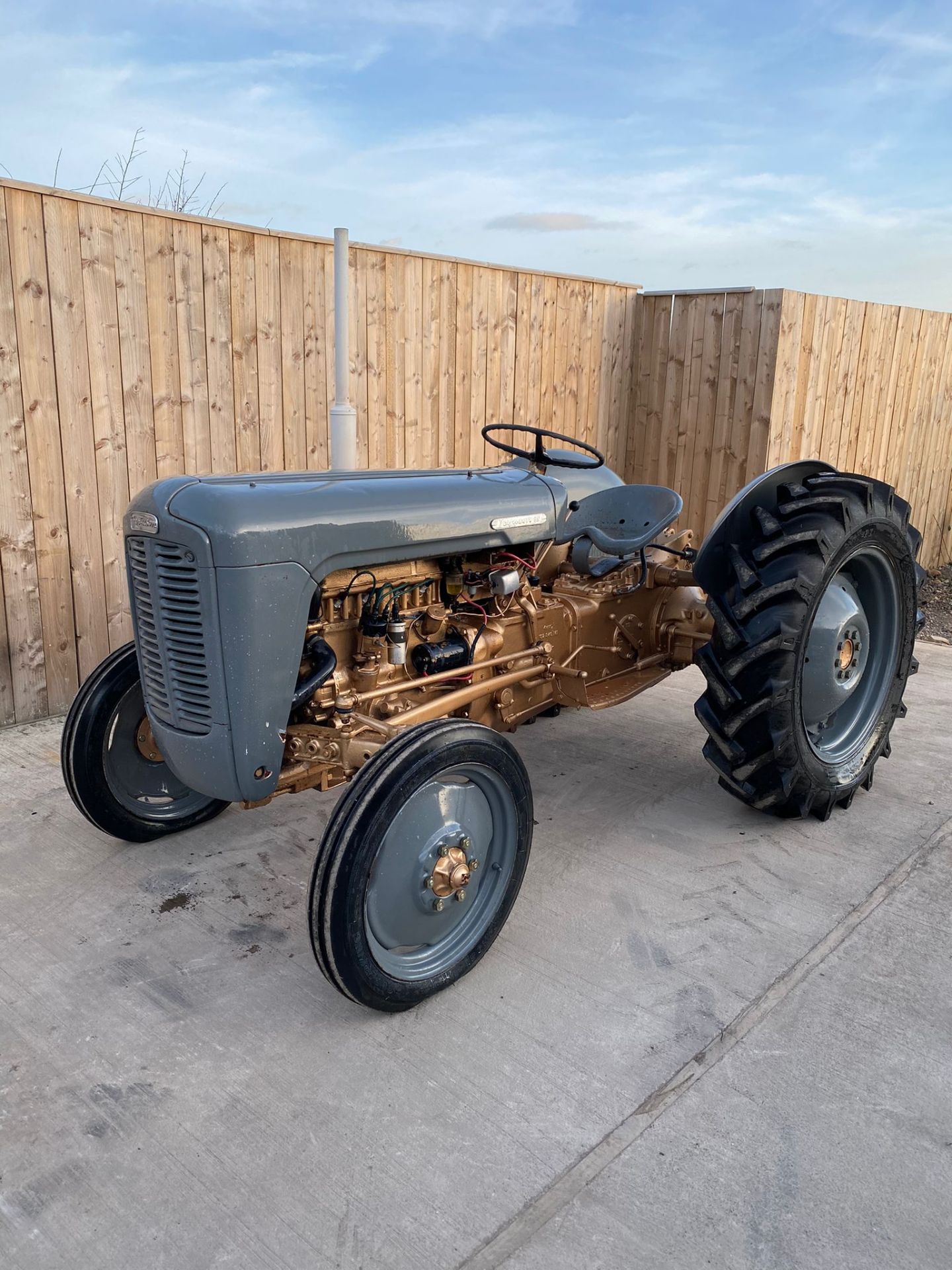 FERGUSON GOLD BELLY VINTAGE TRACTOR