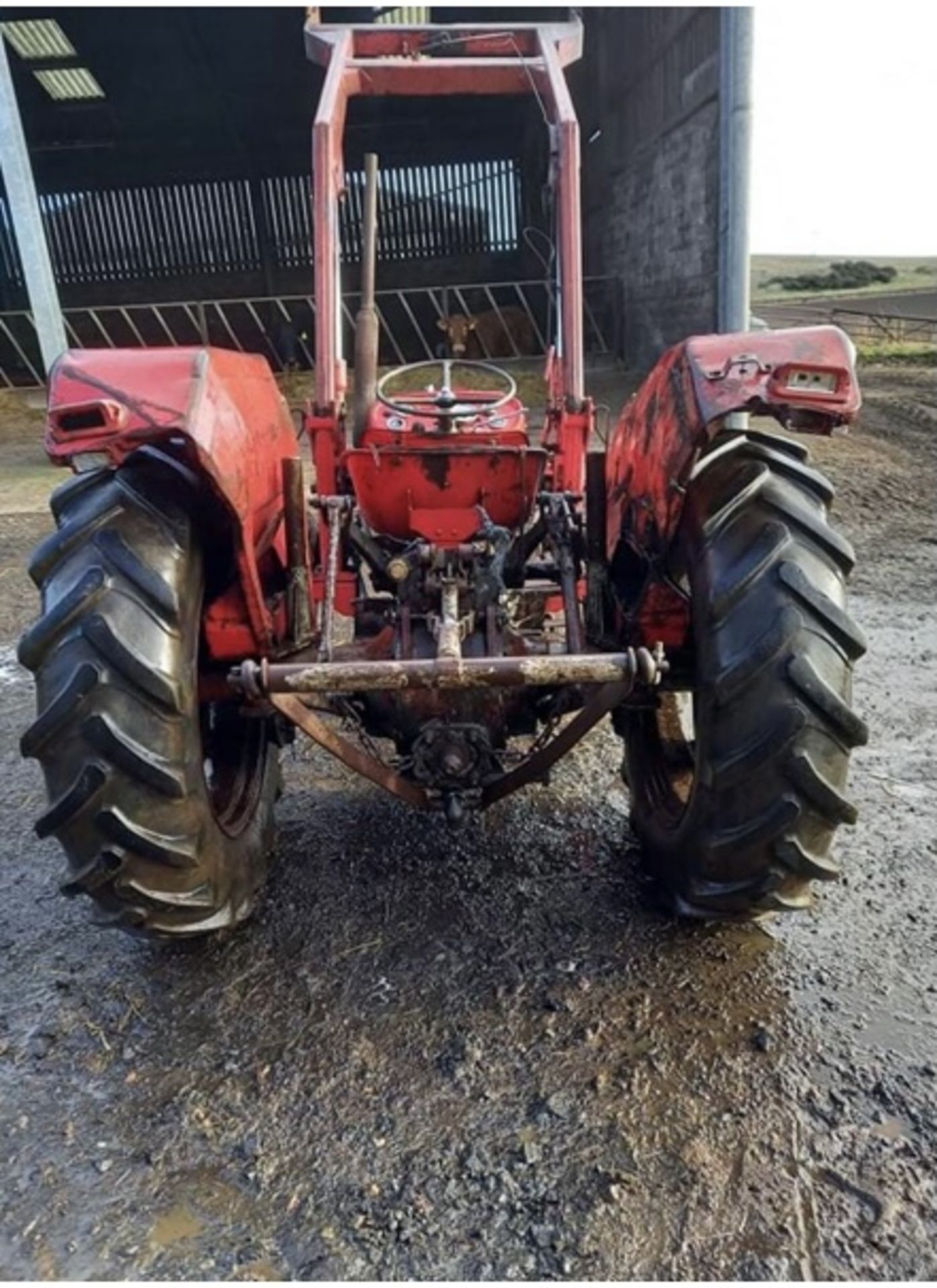 MASSEY FERGUSON 135 LOCATION NORTHERN IRELAND - Image 5 of 14