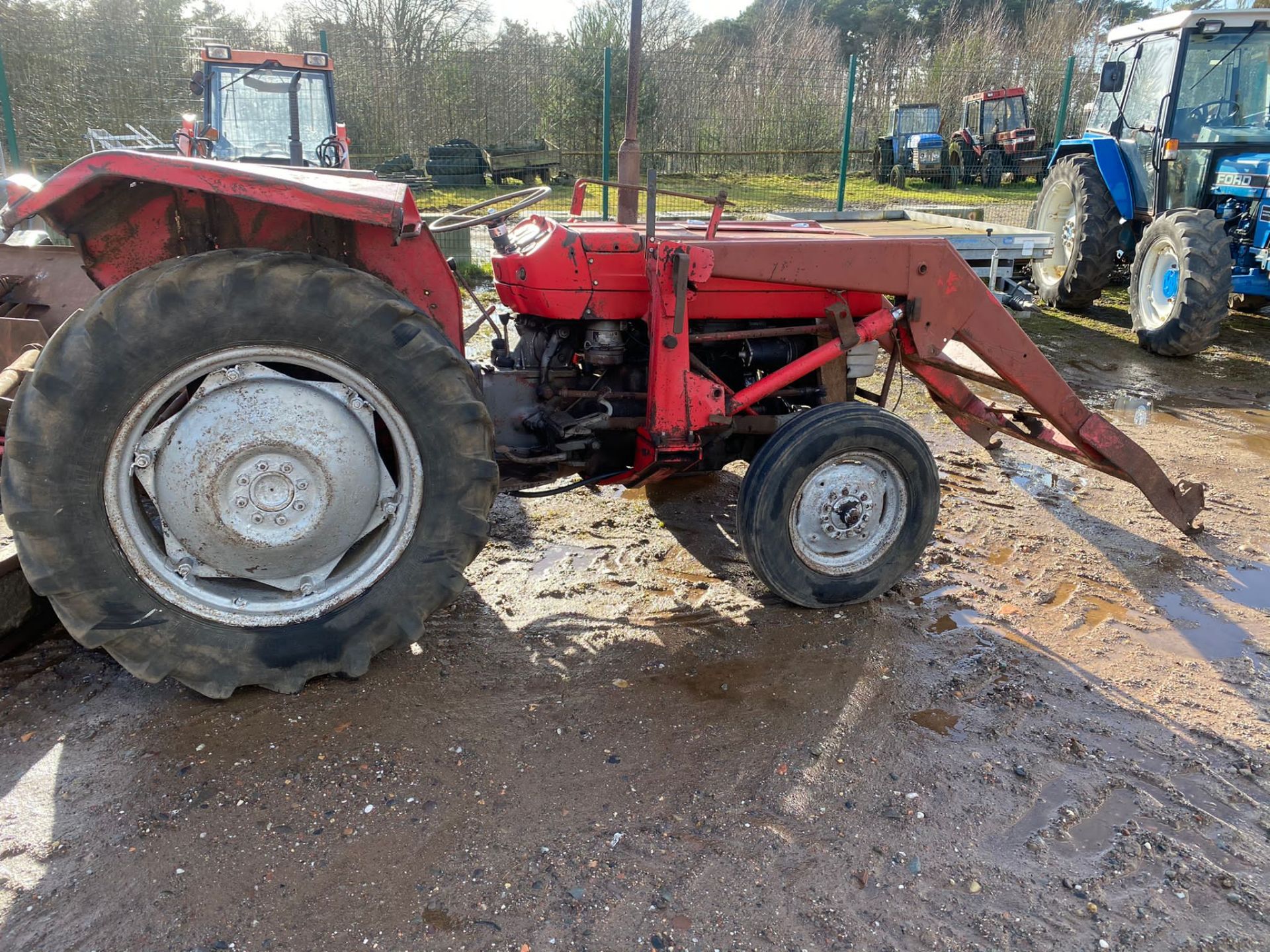 MASSEY FERGUSON 135 LOCATION NORTHERN IRELAND