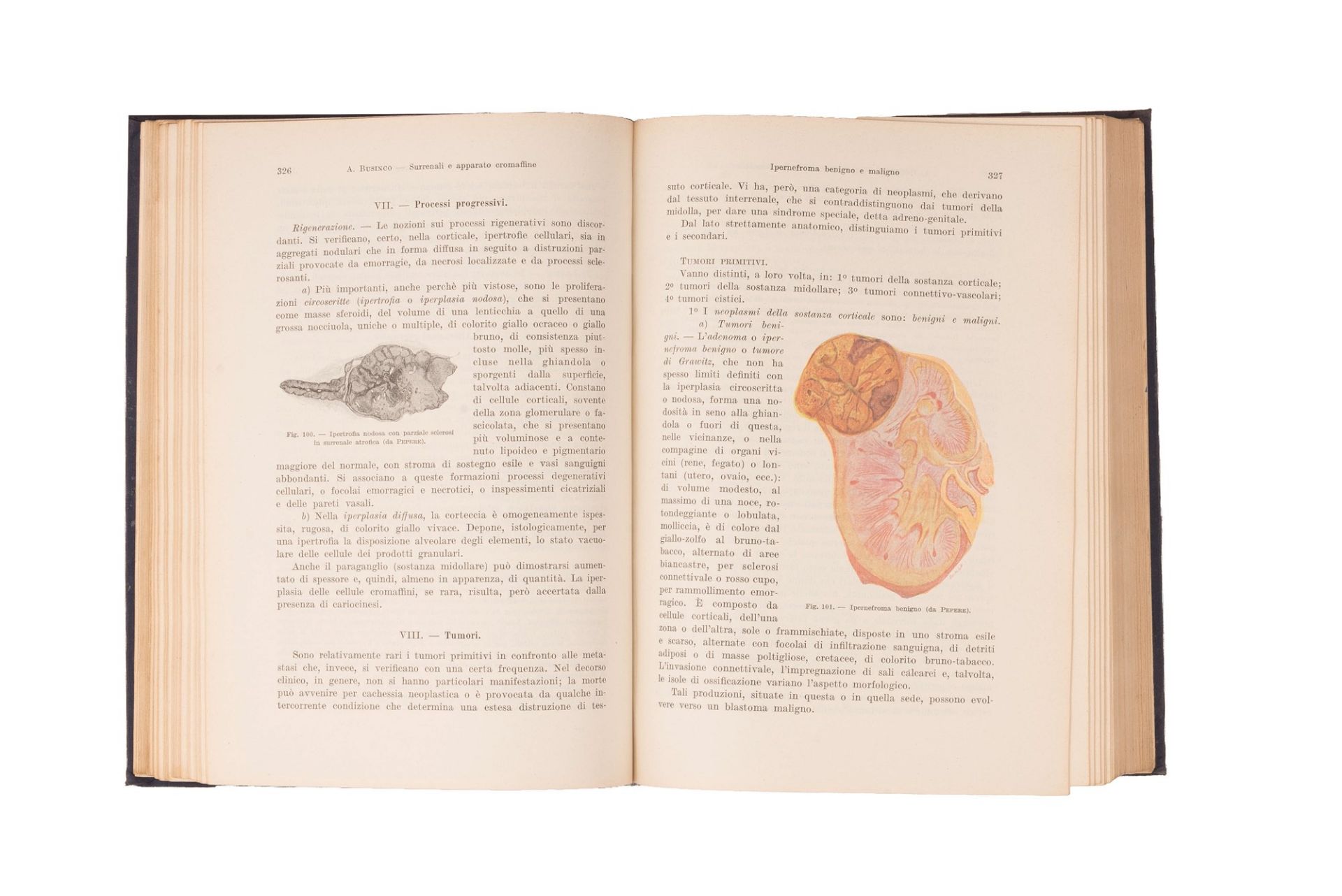 lotto manuali medicina 900. 6 libri - Bild 12 aus 18