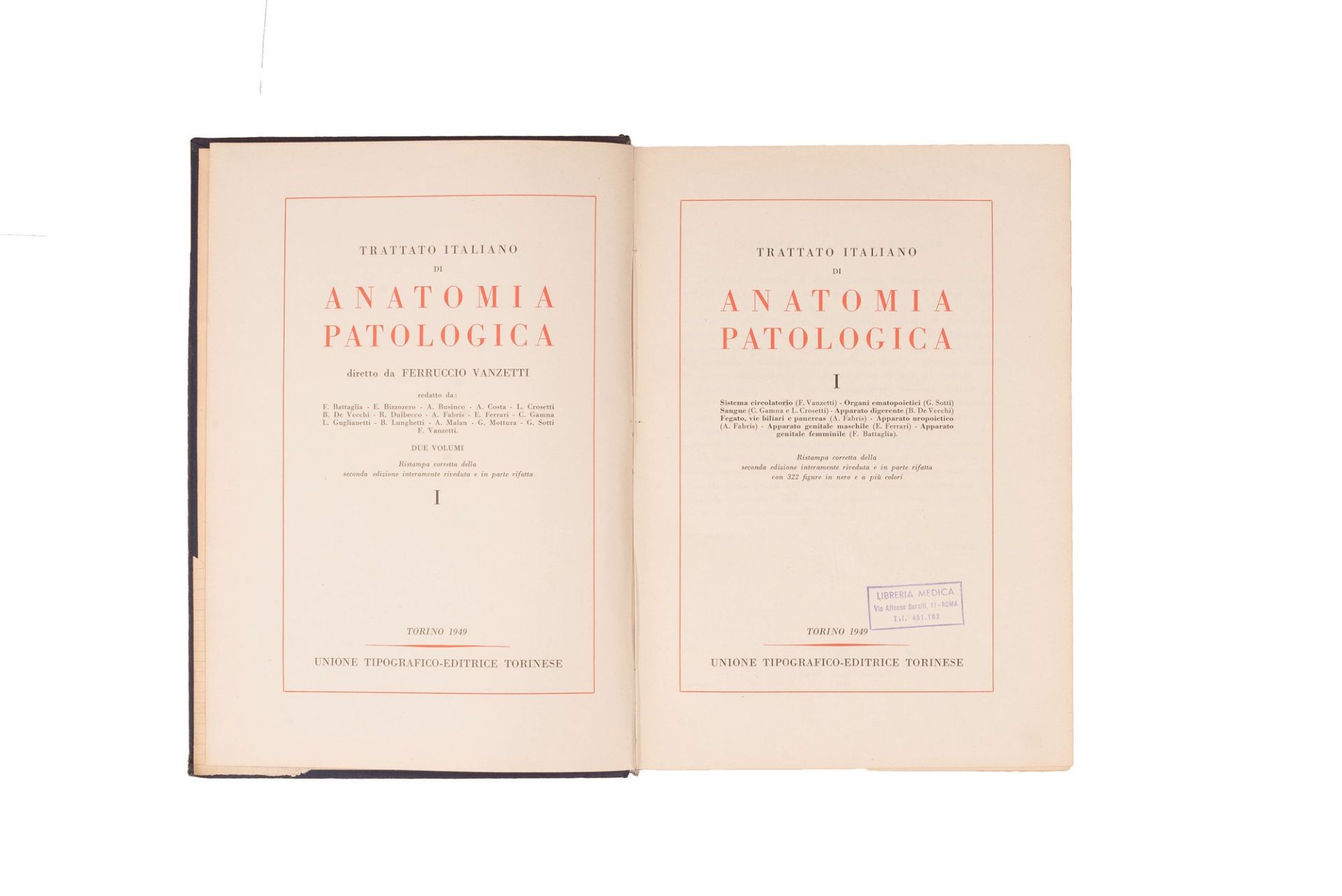lotto manuali medicina 900. 6 libri - Bild 7 aus 18