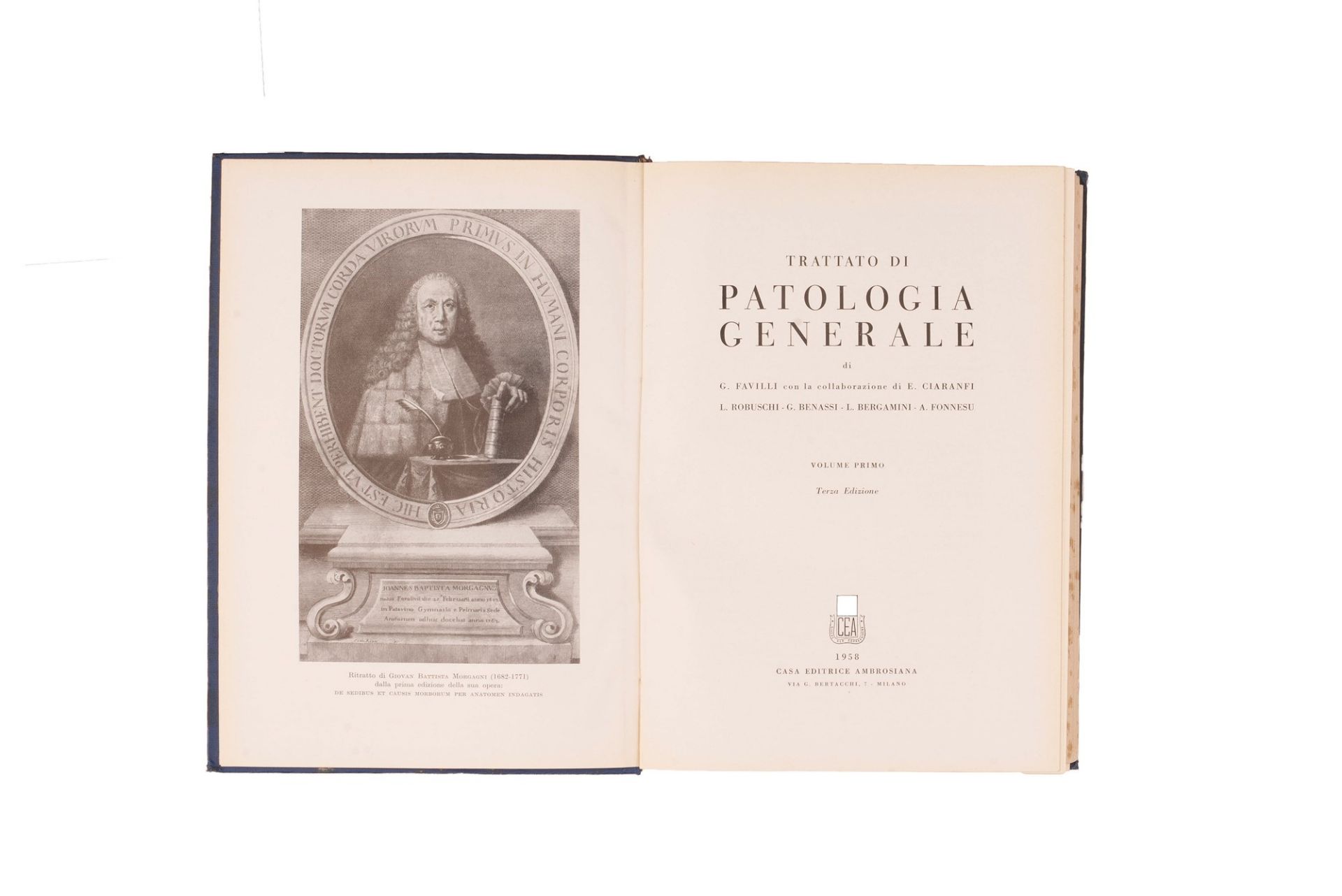 lotto manuali medicina 900. 6 libri - Bild 2 aus 18