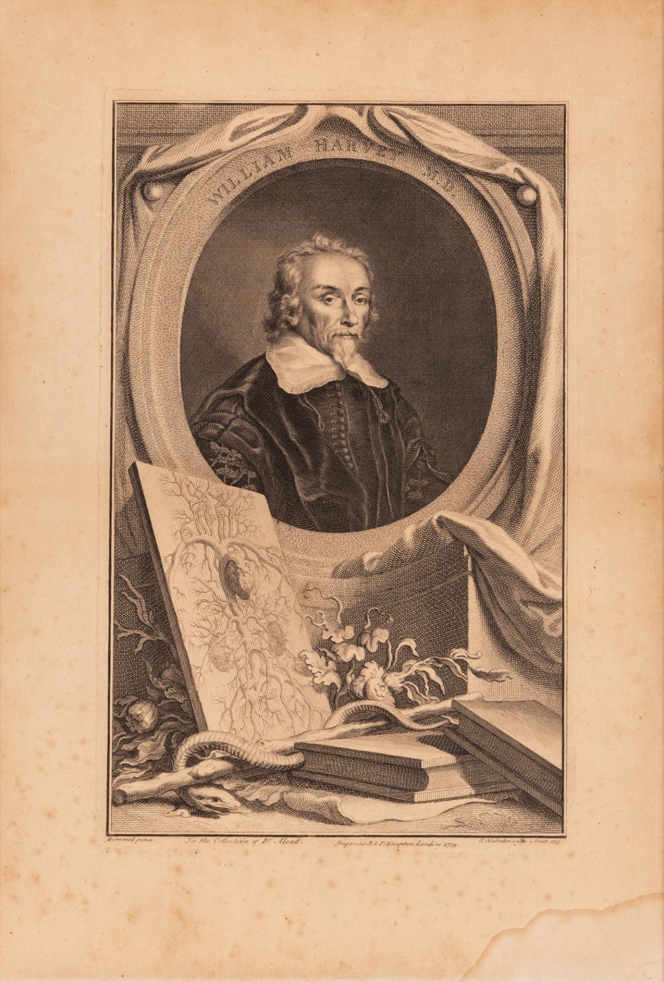 Ritratto originale in incisione su rame del medico inglese William Harvey