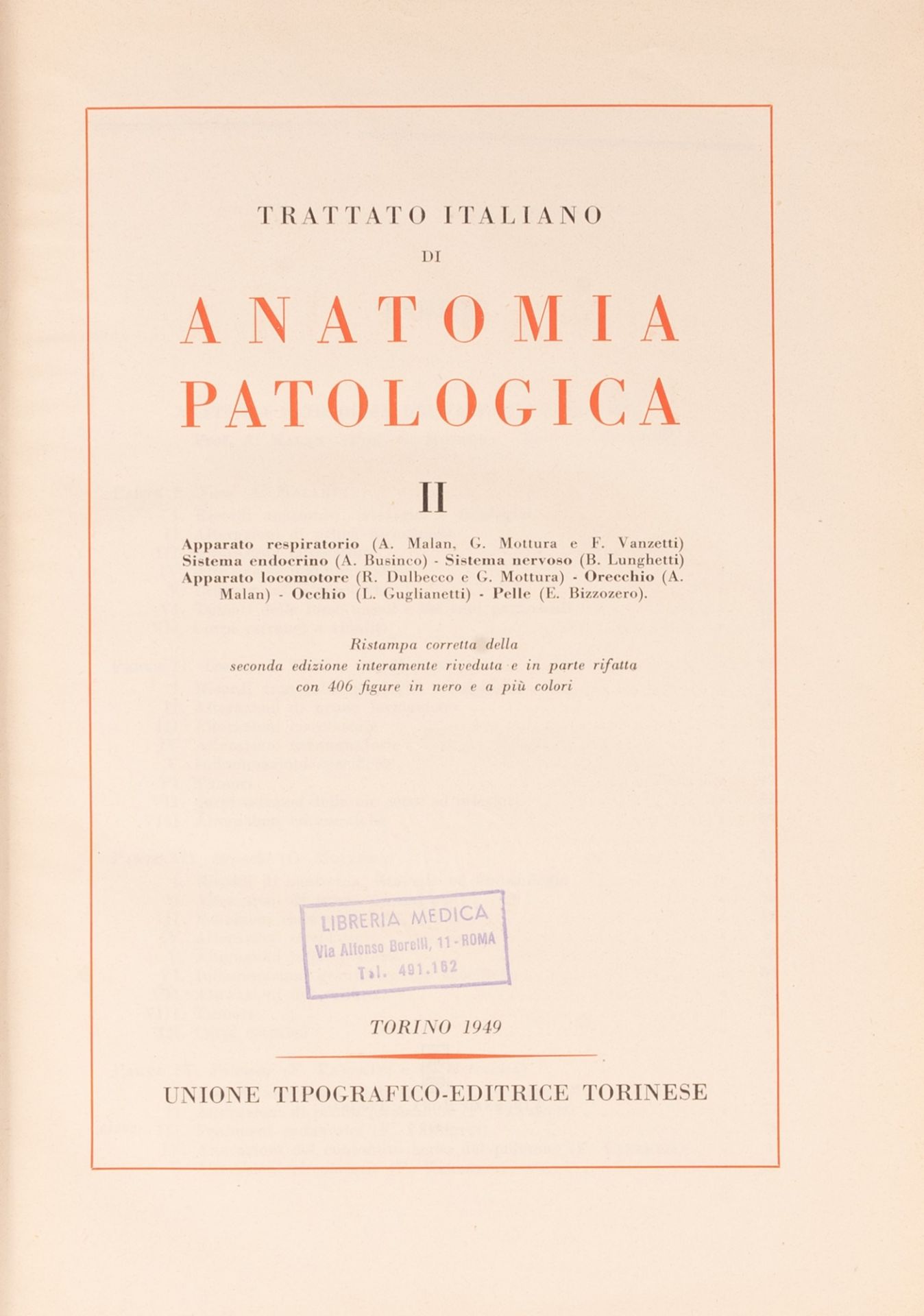 lotto manuali medicina 900. 6 libri - Bild 11 aus 18