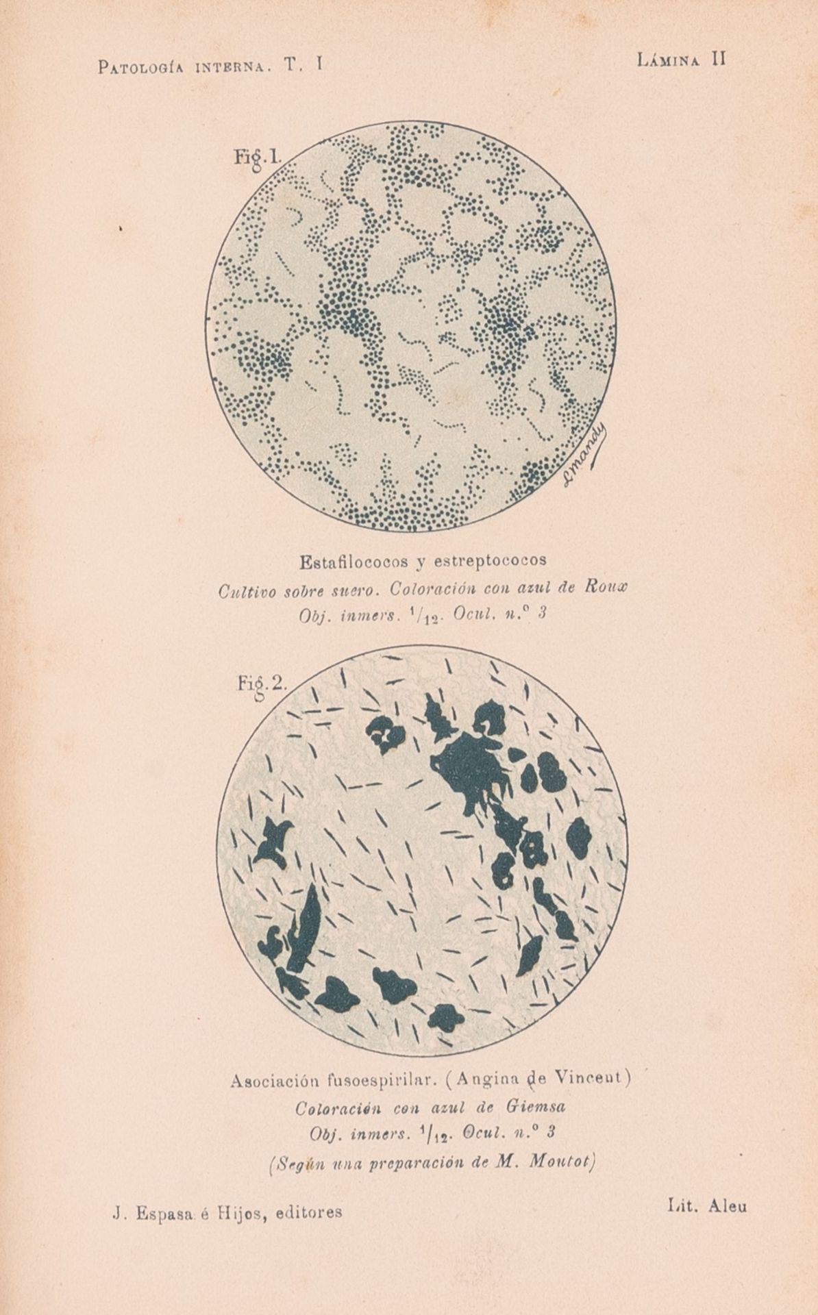 Manual de Patolgia Interna por F. J. Collet - Bild 4 aus 4