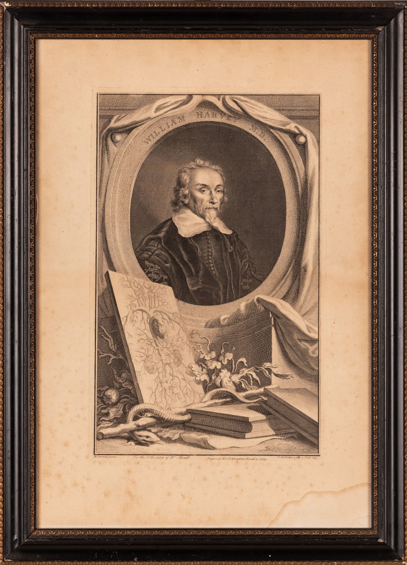 Ritratto originale in incisione su rame del medico inglese William Harvey - Image 2 of 3