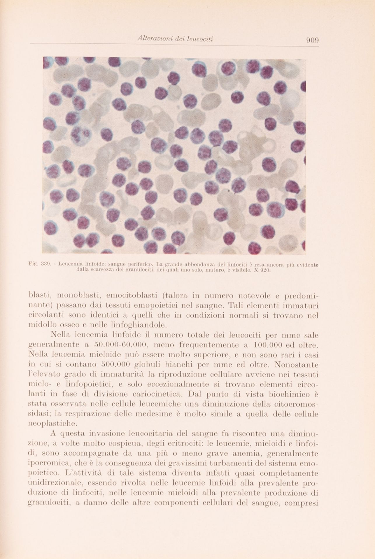 lotto manuali medicina 900. 6 libri - Bild 5 aus 18