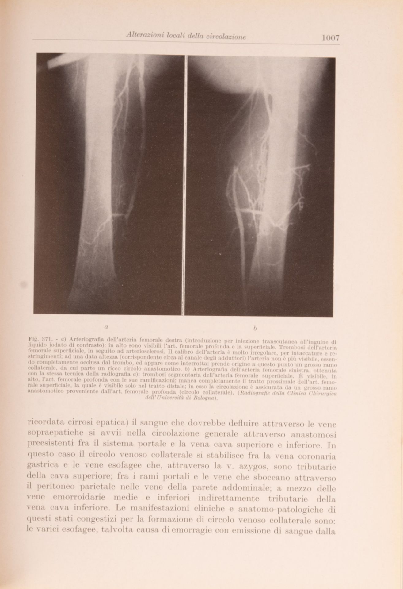 lotto manuali medicina 900. 6 libri - Bild 6 aus 18