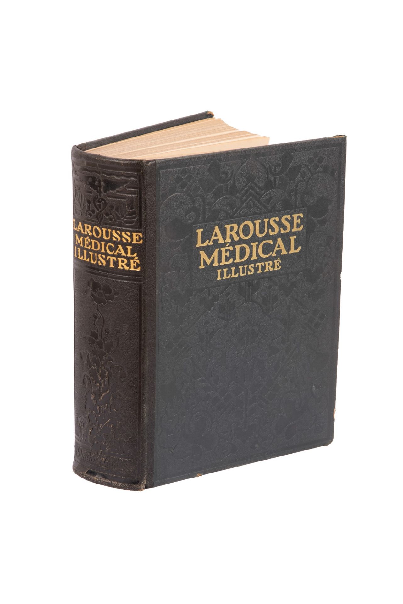 Larousse Medical Illustrated