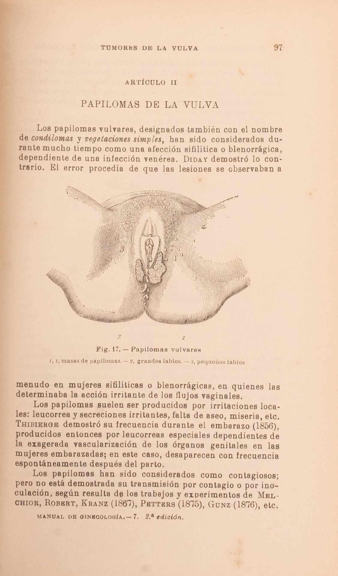Manual de ginecologia por el dr. Andres Bousier - Bild 5 aus 5