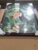 RRP £100 Unboxed Jungle Toucan Picture By Andrea Haase (105395)(Sp)