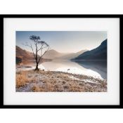 RRP £125 Packaged Buttermere Tree Painting Canvas