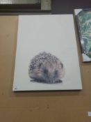 RRP £100 Unboxed Lonely Hedgehog Canvas (Sp)
