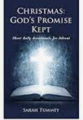 RRP £8066 Brand New And Sealed Pallet To Contain (1654 Items) - Christmas: God's Promise Kept: Short