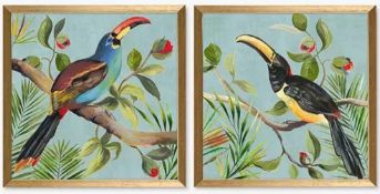 RRP £80 Boxed Aimee Wilson - Paradise Toucan Bird Framed Prints, Set Of 2, 33 X 33Cm, Blue/Multi