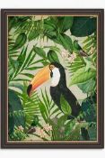 RRP £100 Andrea Haase Jungle Toucan Framed Print