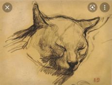 RRP £80 Study Of The Head Of A Cat John Lewis Canvas Wall Art