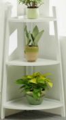 RRP £60 Boxed Audrianua Corner Plant Stand