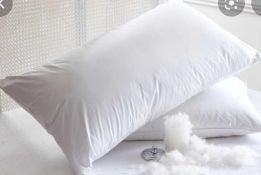 RRP £120 Lot To Contain X2 Items, Duck Feather Pillow, Hungarian Goose Down Pillow