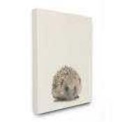RRP £100 The Beautifulness Of The Hamster Canvas