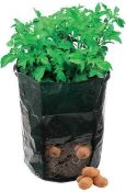 RRP £100 Lot To Contain X25 Bagged Silverline Potato Planting Bags