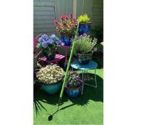 RRP £100 Lot To Contain 3 Boxed Grumpy Gardener Cultimate Weeder Xl