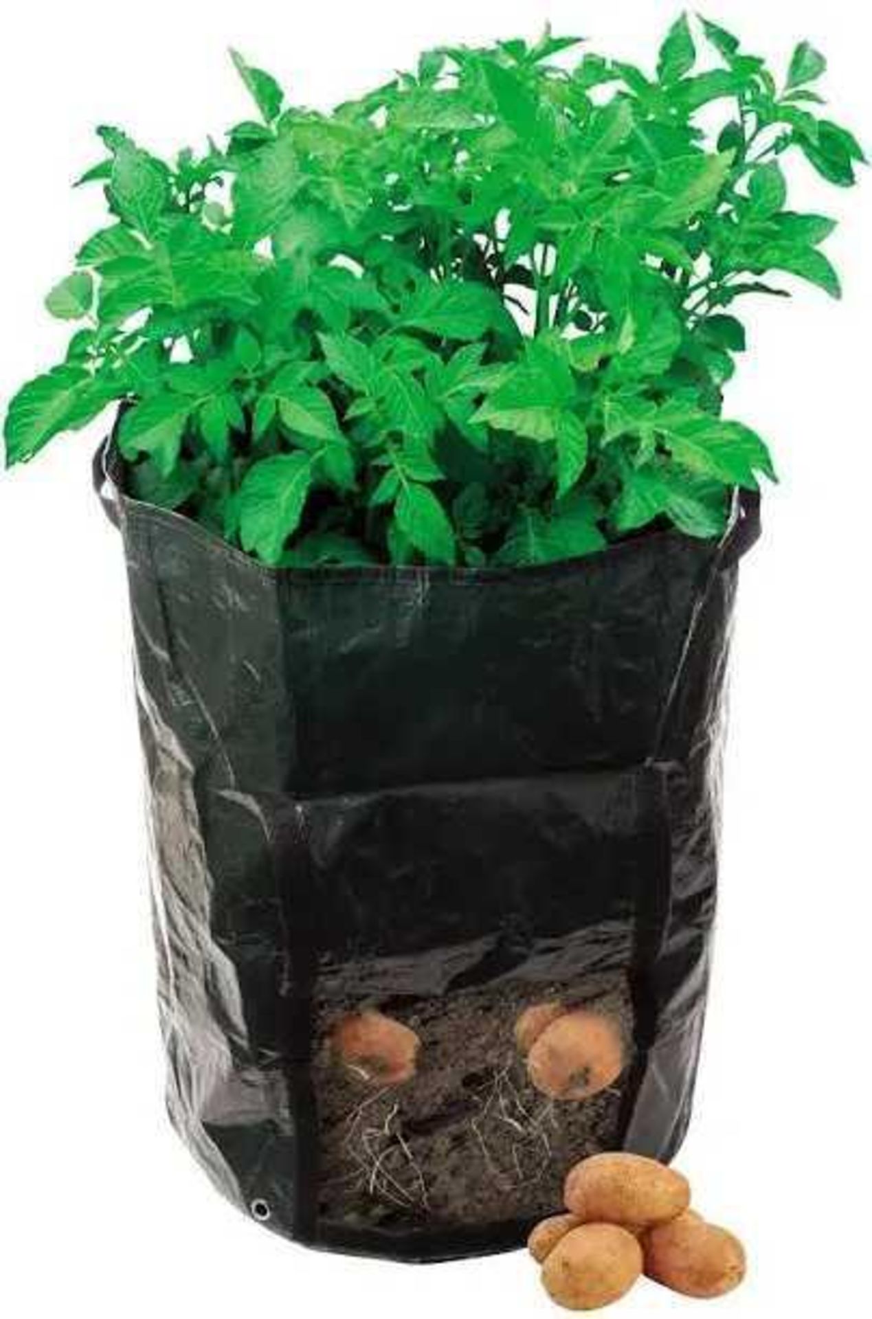 RRP £150 Lot To Contain X30 Bagged Silverline Potato Planting Bags