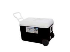 RRP £120 Sourced From Birmingham Commonwealth Games 2022 Lot To Contain 2 Large Plastic Ice Cooling